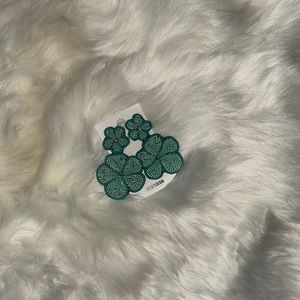 New earrings from express